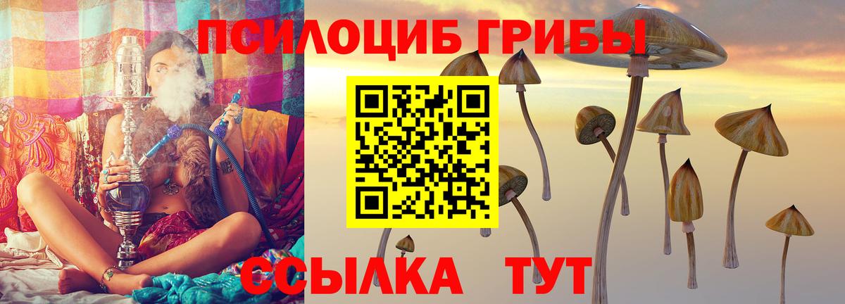 Псилоцибиновые грибы мухоморы Пушкино